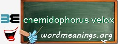 WordMeaning blackboard for cnemidophorus velox